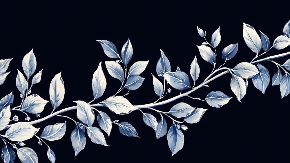 Dichondra srebrzysta na balkonie: jak dbać o kaskady srebrnych liści